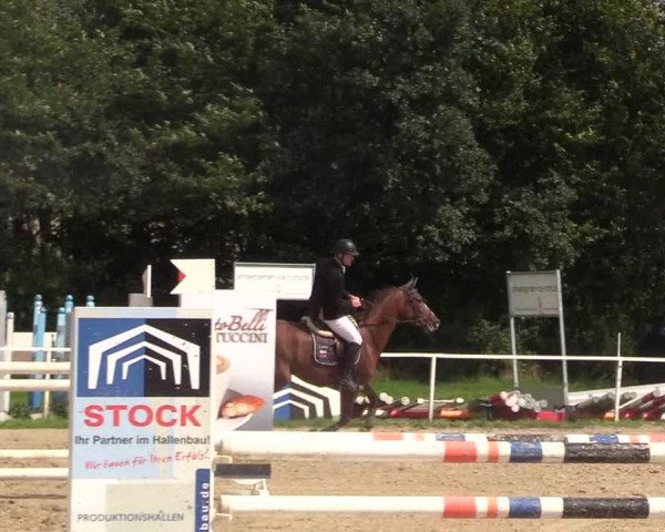 Reitturnier Menden 2017