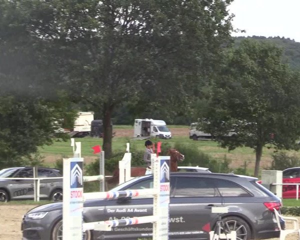 Reitturnier Menden 2017