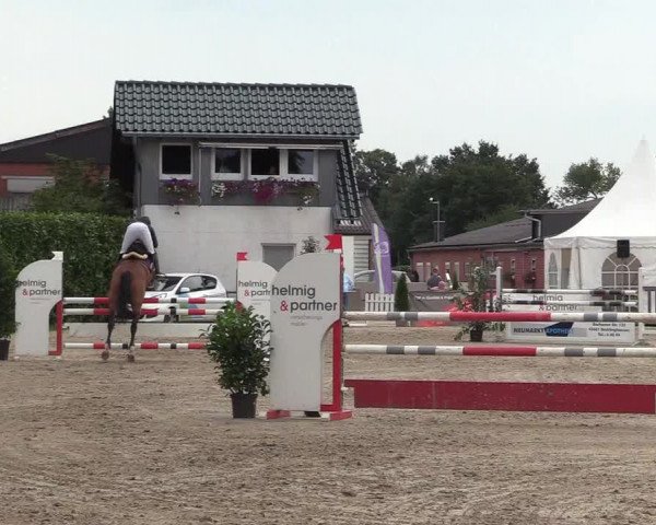 Reitturnier Datteln 2017