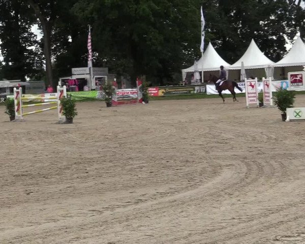 Reitturnier Datteln 2017