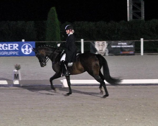 Reitturnier Illertissen 2017