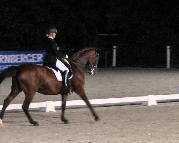 Reitturnier Illertissen 2017