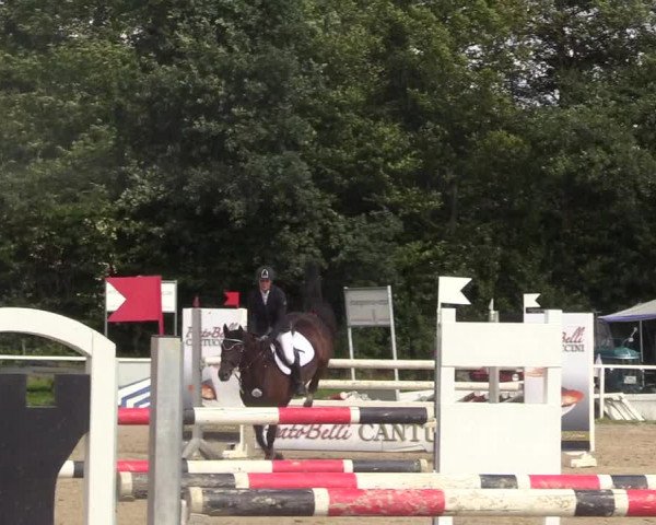 Reitturnier Menden 2017