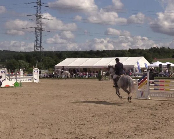 Reitturnier Menden 2017