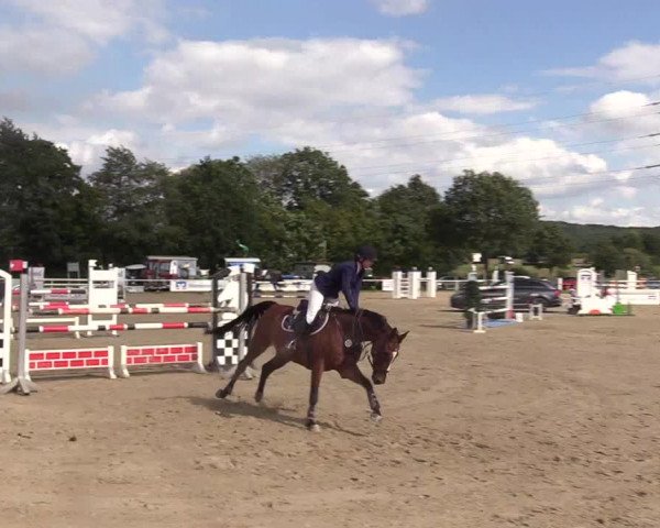 Reitturnier Menden 2017