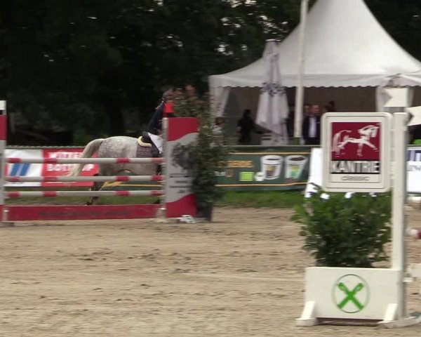 Reitturnier Datteln 2017