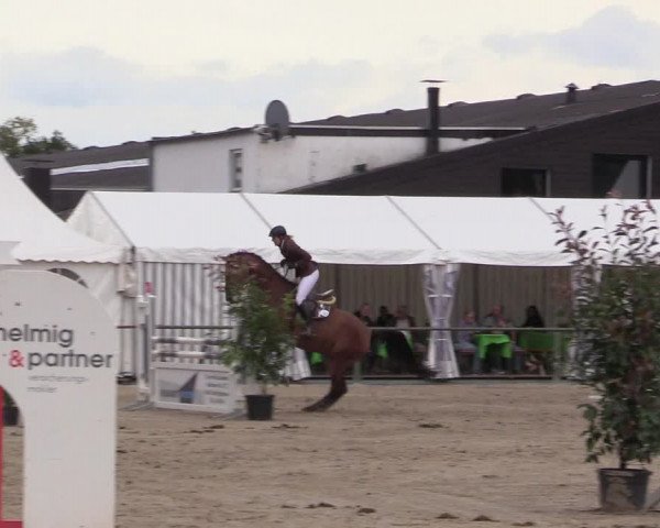 Reitturnier Datteln 2017