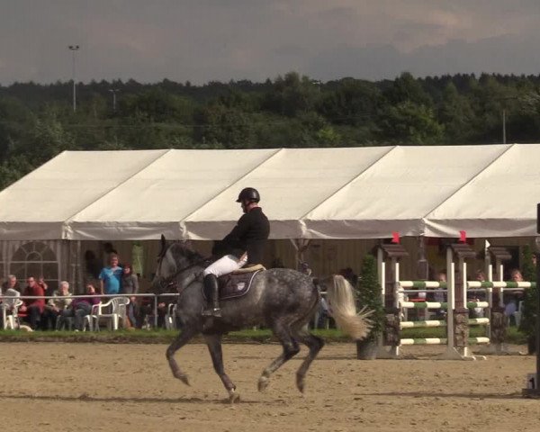 Reitturnier Menden 2017