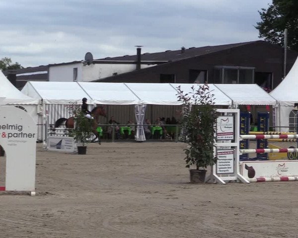 Reitturnier Datteln 2017
