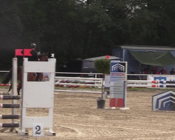 Reitturnier Menden 2017