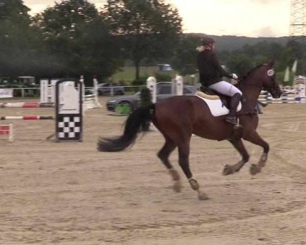 Reitturnier Menden 2017