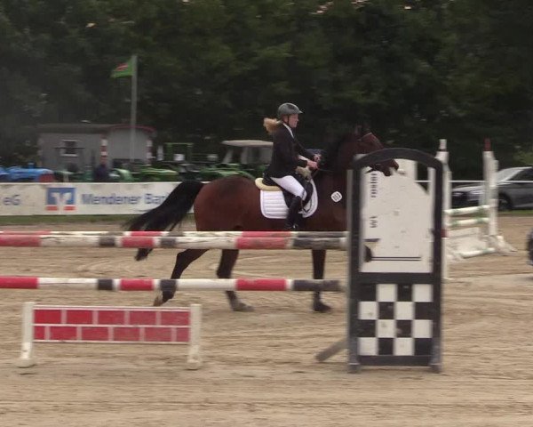 Reitturnier Menden 2017