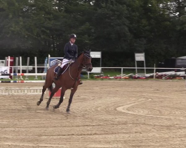 Reitturnier Menden 2017
