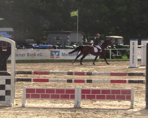 Reitturnier Menden 2017