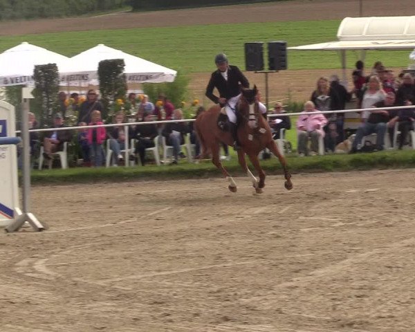 Reitturnier Menden 2017