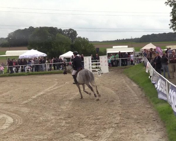 Reitturnier Menden 2017