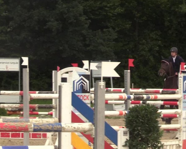 Reitturnier Menden 2017