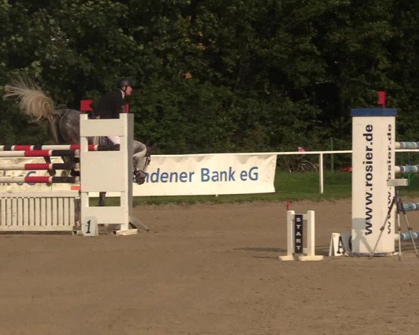 Reitturnier Menden 2017