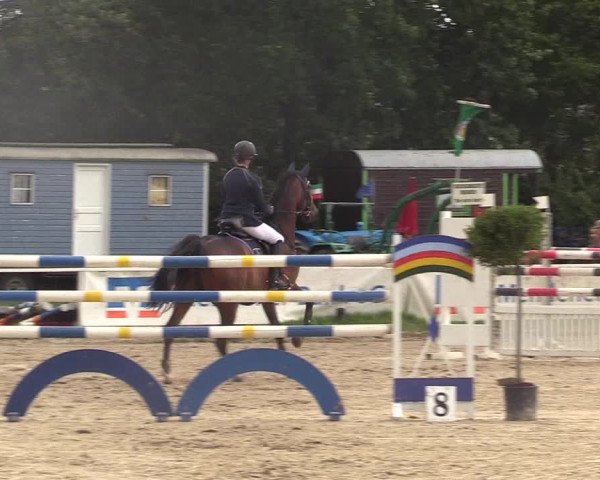 Reitturnier Menden 2017