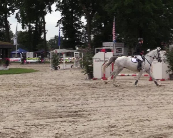 Reitturnier Datteln 2017