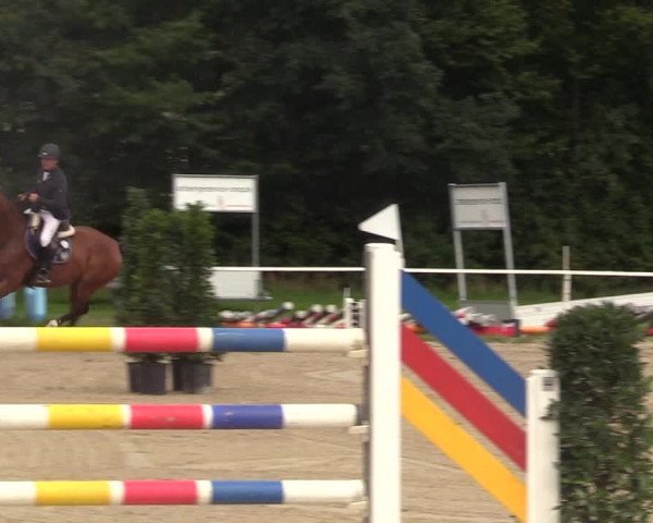 Reitturnier Menden 2017