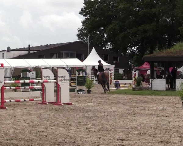 Reitturnier Datteln 2017