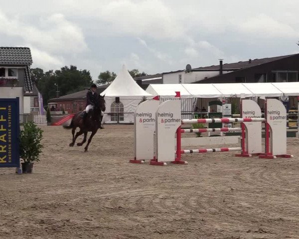 Reitturnier Datteln 2017