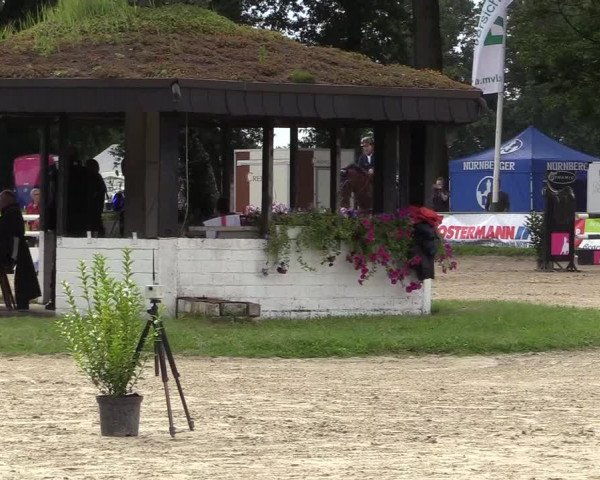 Reitturnier Datteln 2017
