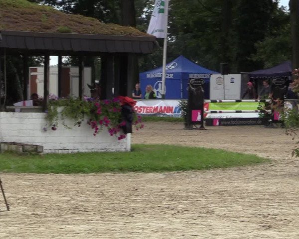 Reitturnier Datteln 2017