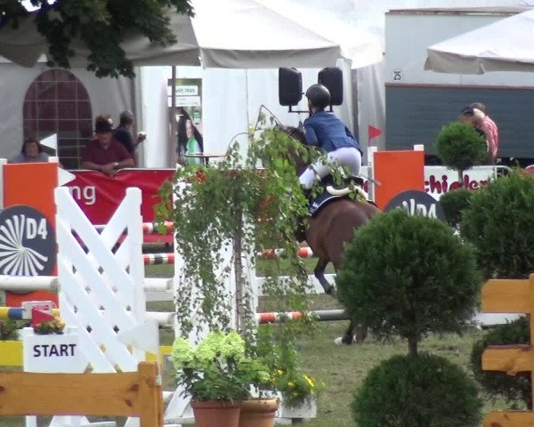 Reitturnier Aschersleben 2017