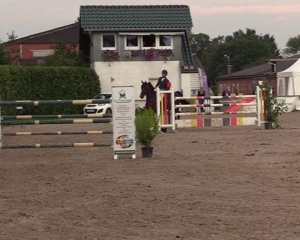 Reitturnier Datteln 2017