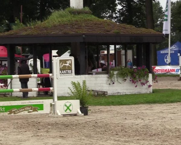 Reitturnier Datteln 2017