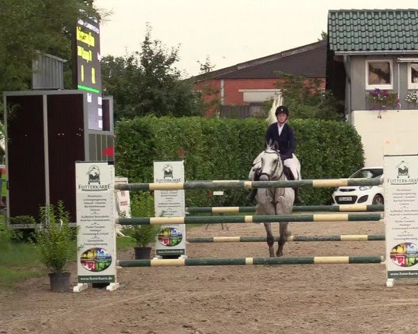 Reitturnier Datteln 2017
