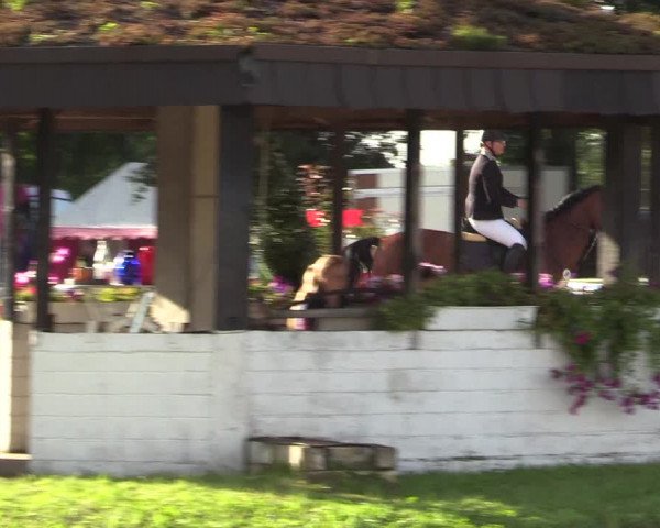 Reitturnier Datteln 2017