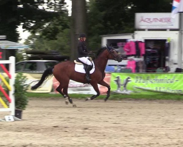 Reitturnier Datteln 2017