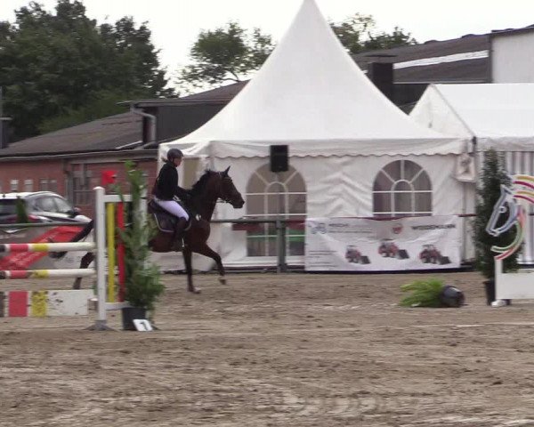 Reitturnier Datteln 2017