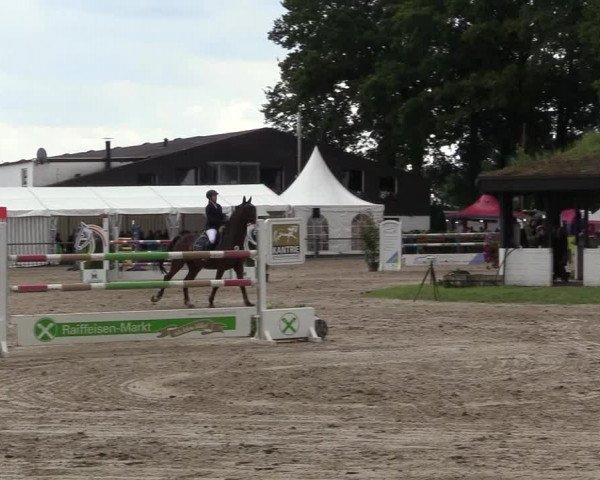 Reitturnier Datteln 2017