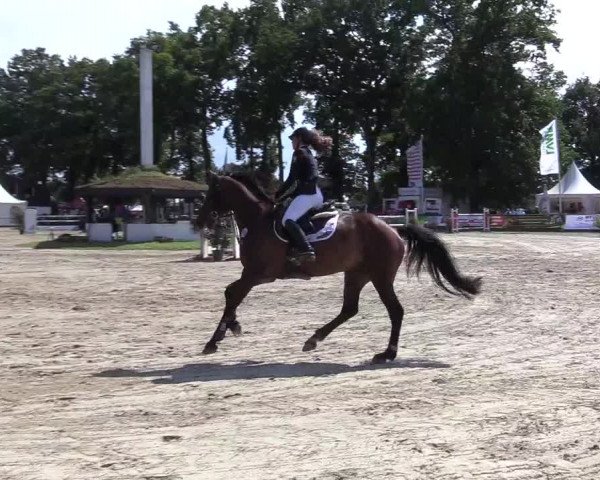 Reitturnier Datteln 2017