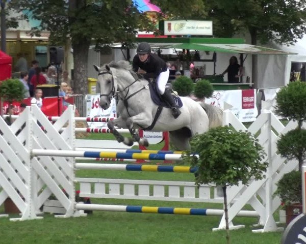 Reitturnier Aschersleben 2017