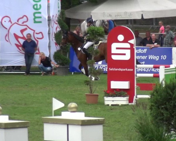 Reitturnier Aschersleben 2017