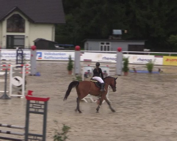 Summermeeting der Springreiter in der ParkArena 2017