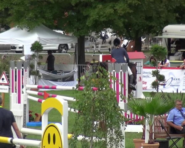 Reitturnier Aschersleben 2017