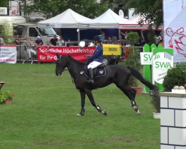 Reitturnier Aschersleben 2017