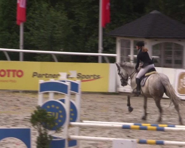 Summermeeting der Springreiter in der ParkArena 2017