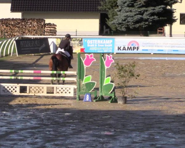 Summermeeting der Springreiter in der ParkArena 2017