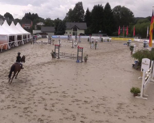 Summermeeting der Springreiter in der ParkArena 2017