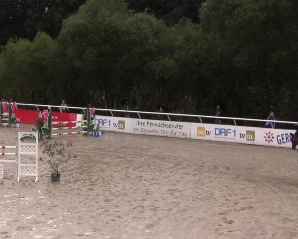 Summermeeting der Springreiter in der ParkArena 2017