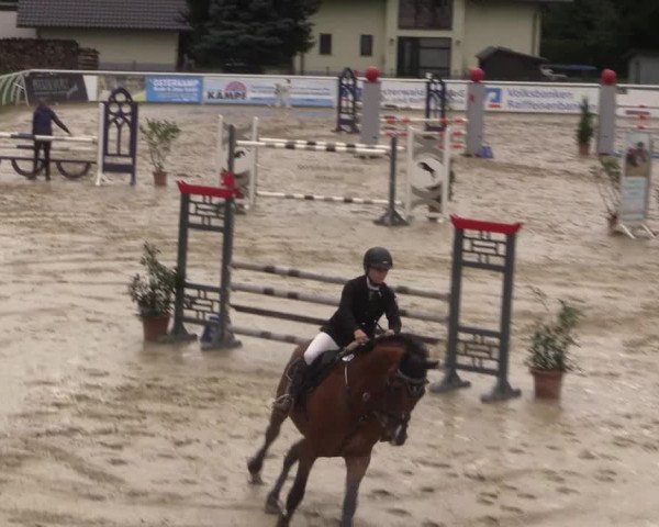 Summermeeting der Springreiter in der ParkArena 2017