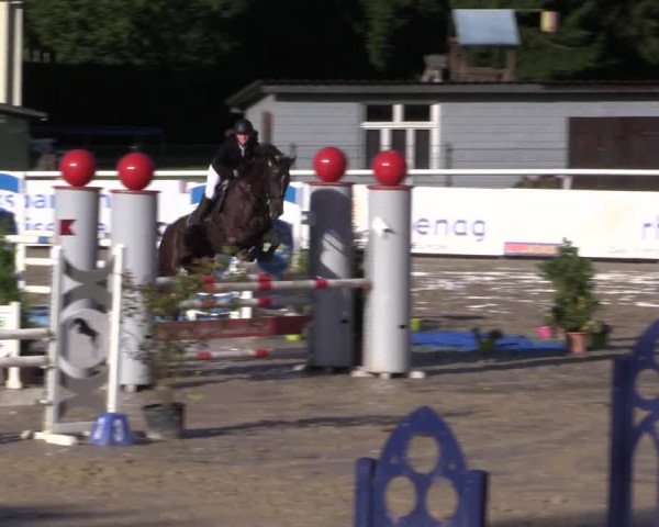 Summermeeting der Springreiter in der ParkArena 2017