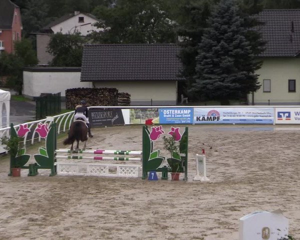 Summermeeting der Springreiter in der ParkArena 2017